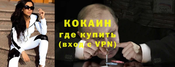 ECSTASY Горняк