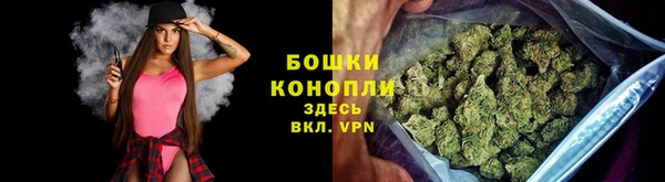 ешки Вязьма