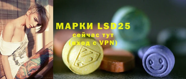 ECSTASY Горняк