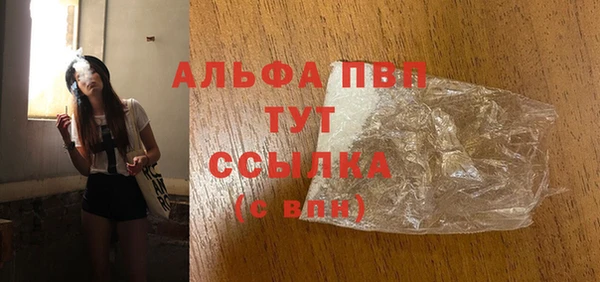 ECSTASY Горняк