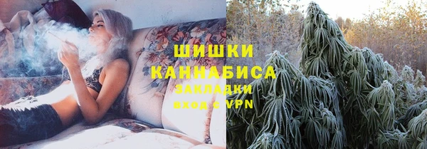 ECSTASY Горняк