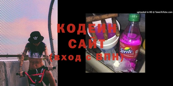 ECSTASY Горняк