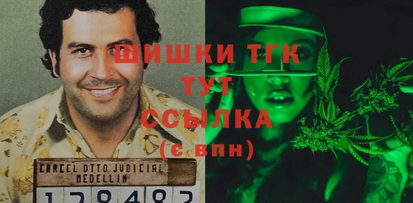 шишки Чекалин