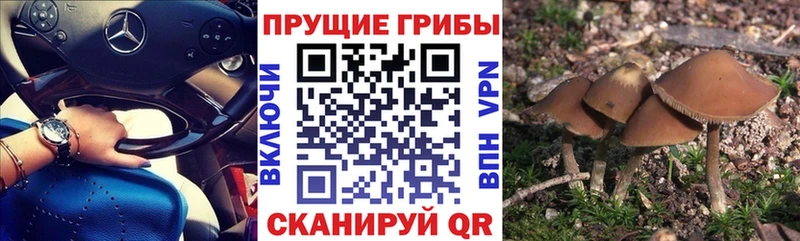 Псилоцибиновые грибы мухоморы  Чудово 